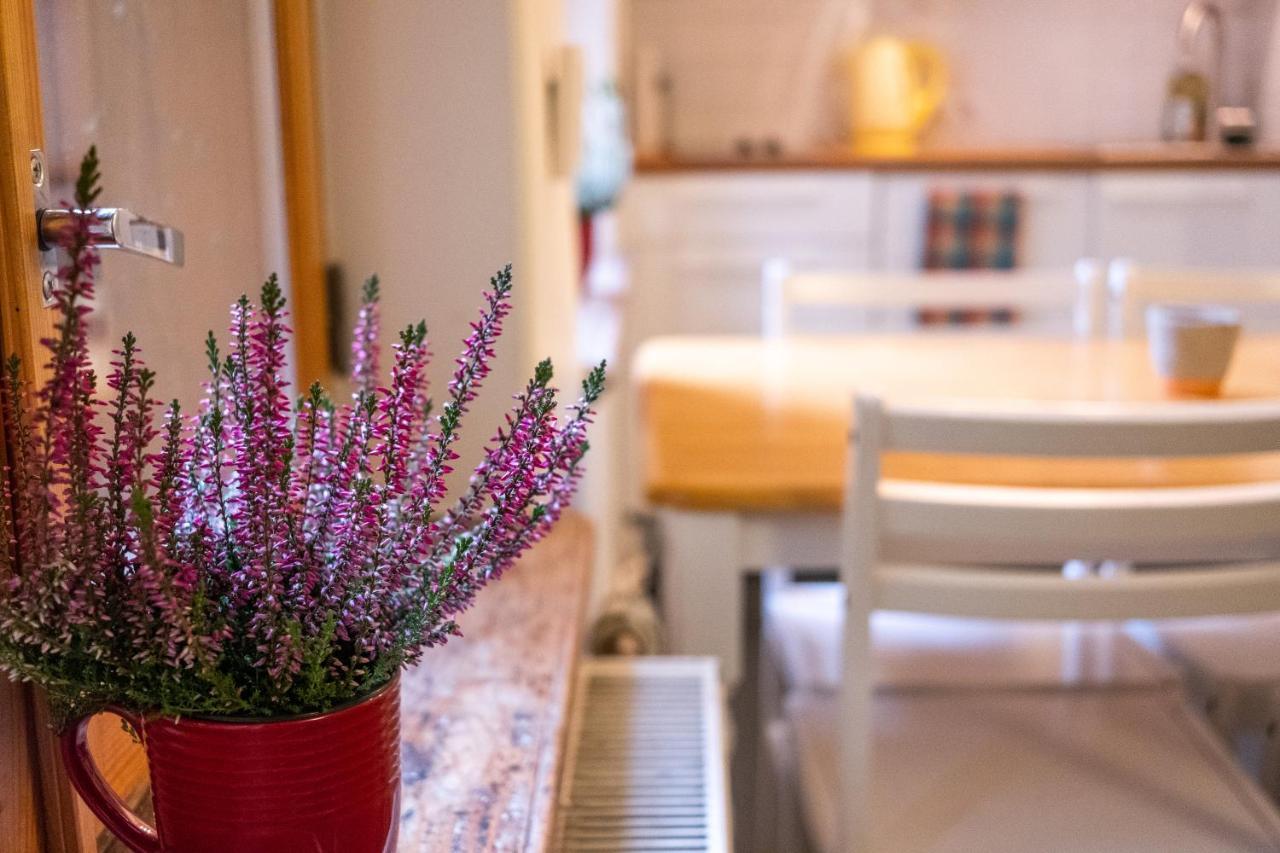 Dream Stay - Bright 2-Bedroom 2-Floor Old Town Apartment تالين المظهر الخارجي الصورة