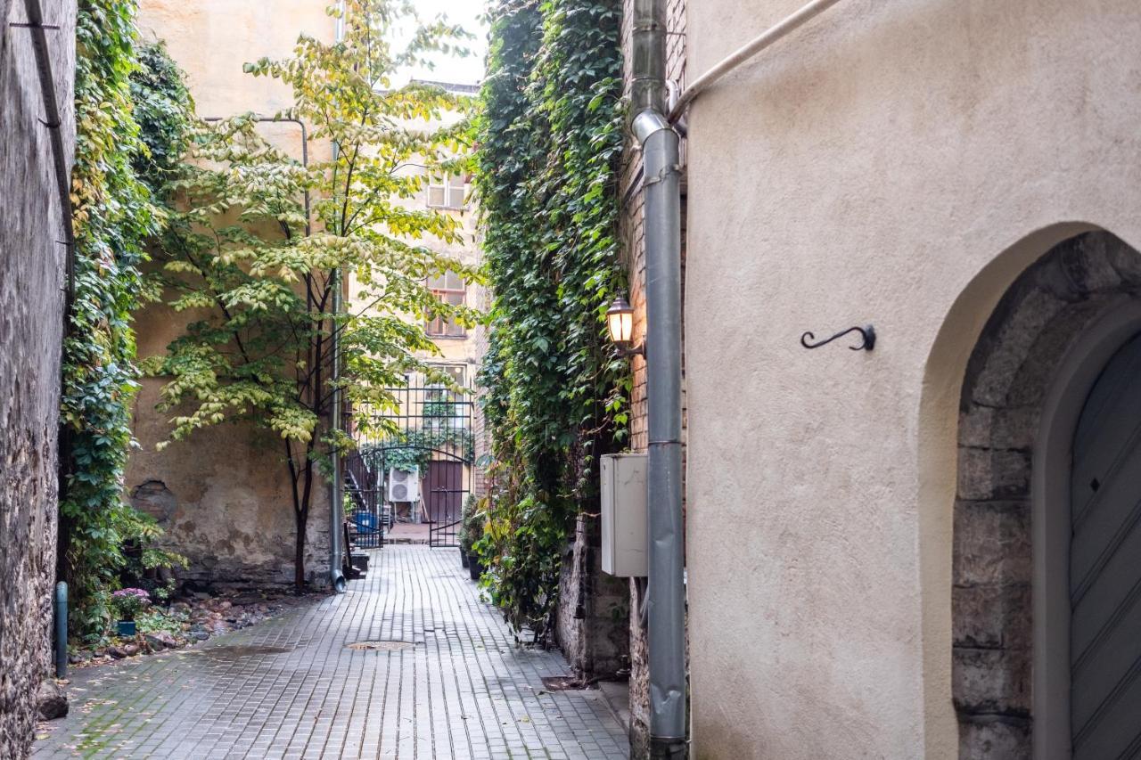 Dream Stay - Bright 2-Bedroom 2-Floor Old Town Apartment تالين المظهر الخارجي الصورة